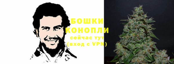 соль курить ск Белокуриха