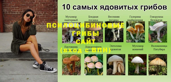 мяу мяу мука Беломорск