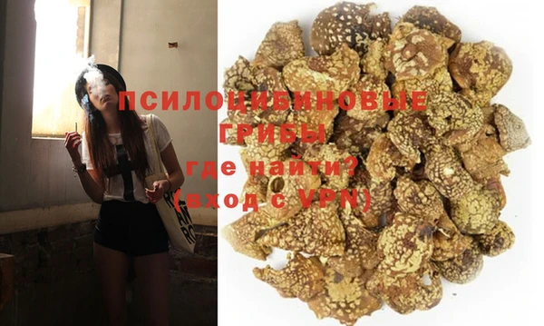 мяу мяу мука Беломорск