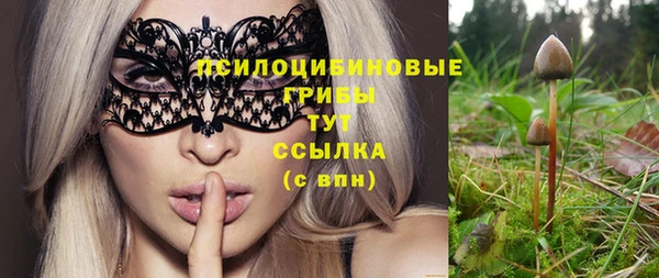 мяу мяу мука Беломорск