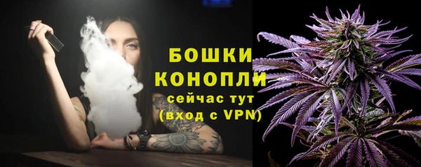 соль курить ск Белокуриха