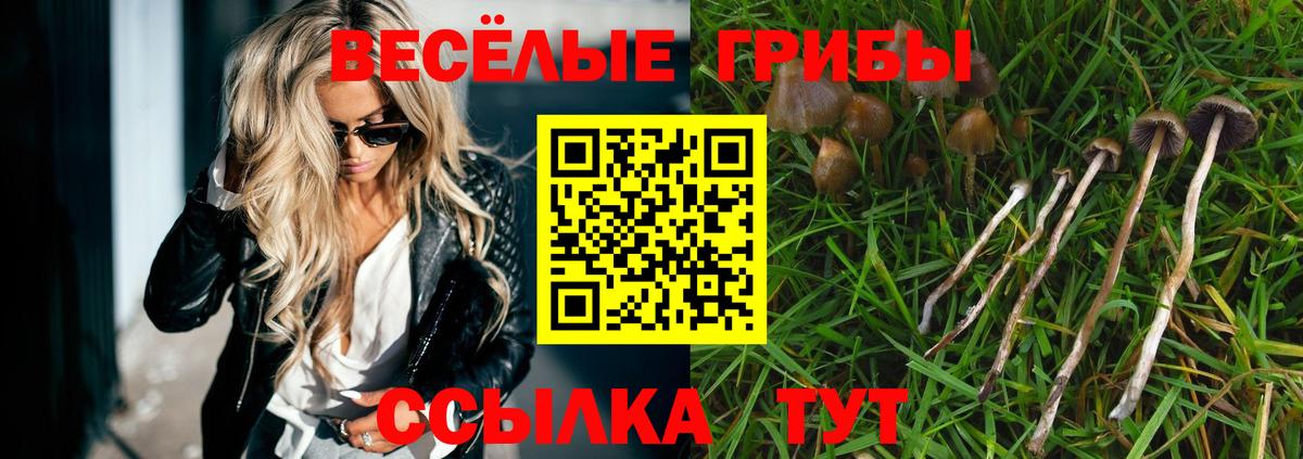 Галлюциногенные грибы мицелий Валуйки