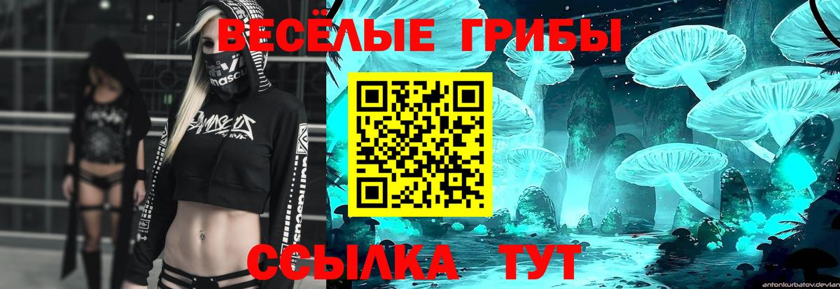 Валуйки  Псилоцибиновые грибы GOLDEN TEACHER  Псилоцибиновые грибы ЛСД  Вход с VPN 